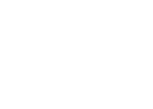 Envision Entertainment logo white